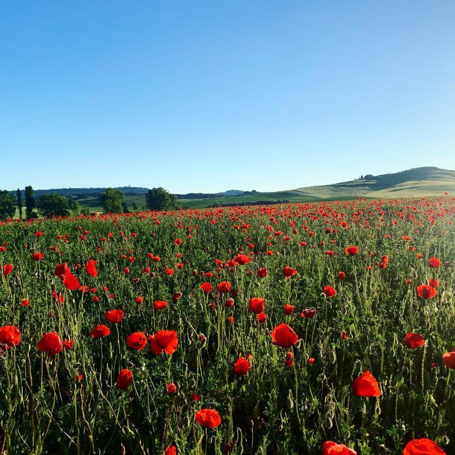 Agriturismo Poggio Tobruk Pienza Dış mekan fotoğraf