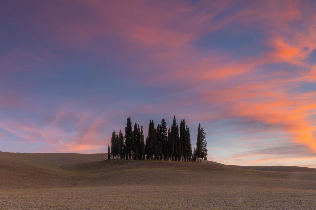 Agriturismo Poggio Tobruk Pienza Dış mekan fotoğraf