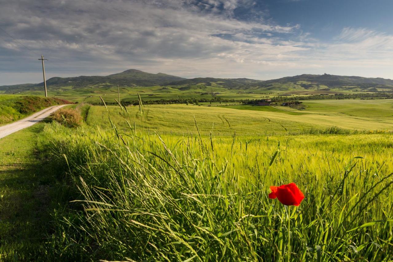 Agriturismo Poggio Tobruk Pienza Dış mekan fotoğraf