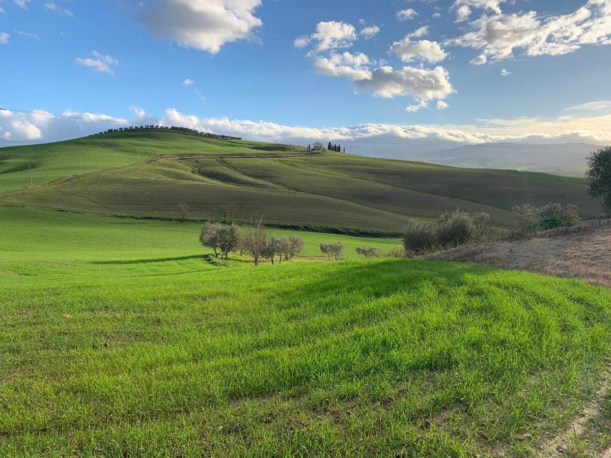 Agriturismo Poggio Tobruk Pienza Dış mekan fotoğraf
