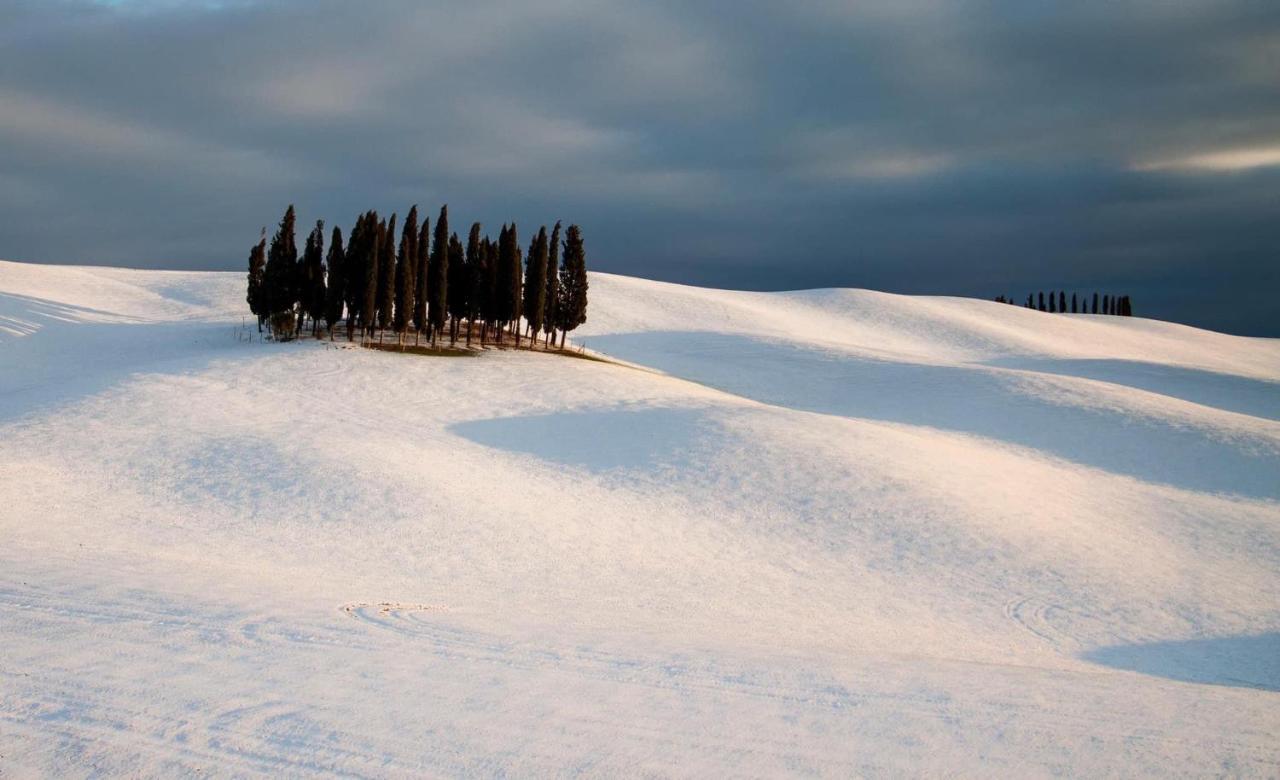 Agriturismo Poggio Tobruk Pienza Dış mekan fotoğraf
