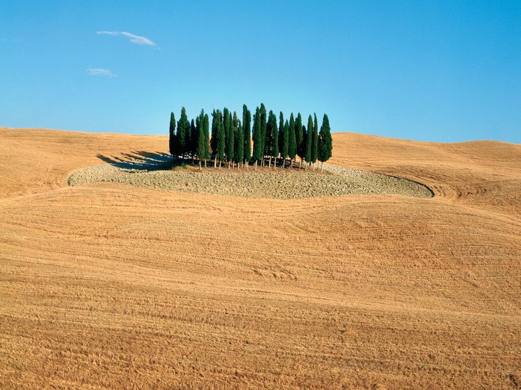 Agriturismo Poggio Tobruk Pienza Dış mekan fotoğraf