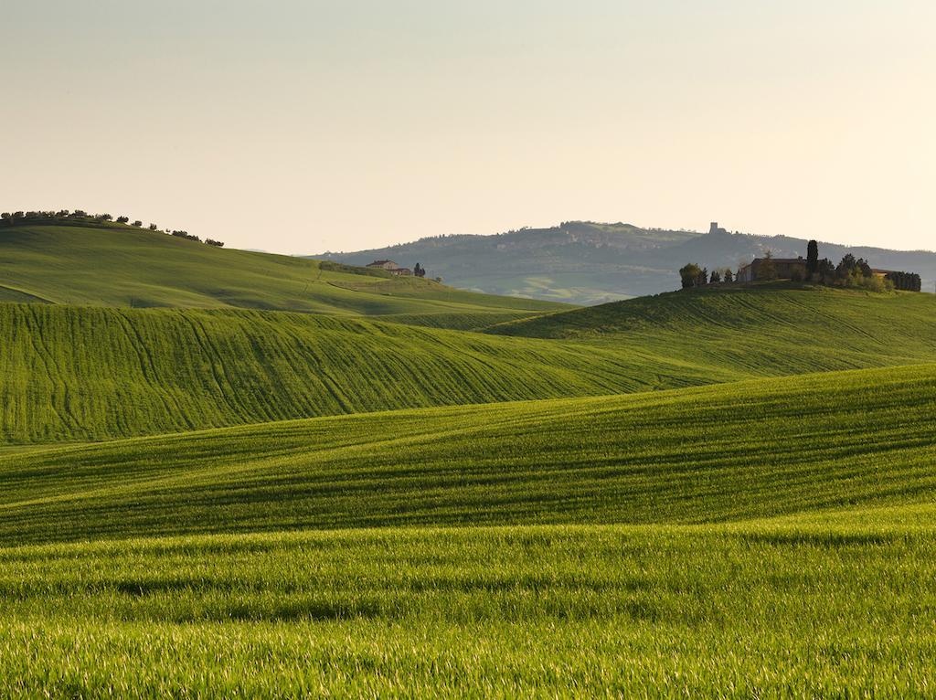 Agriturismo Poggio Tobruk Pienza Dış mekan fotoğraf