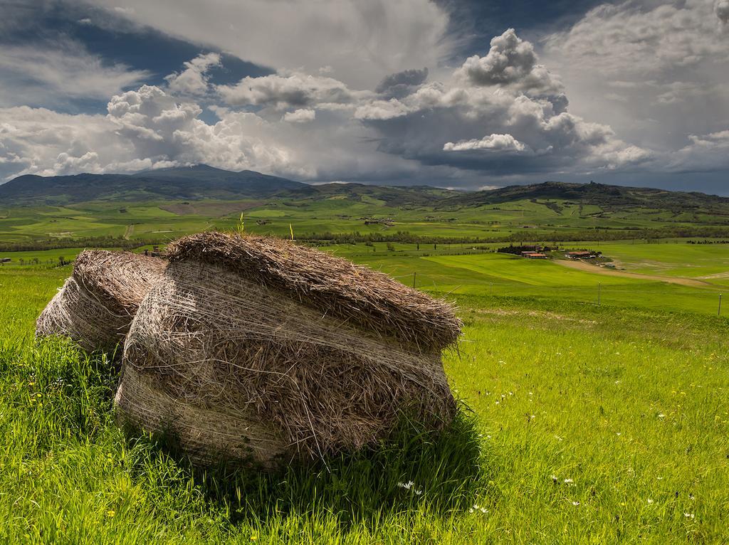 Agriturismo Poggio Tobruk Pienza Dış mekan fotoğraf