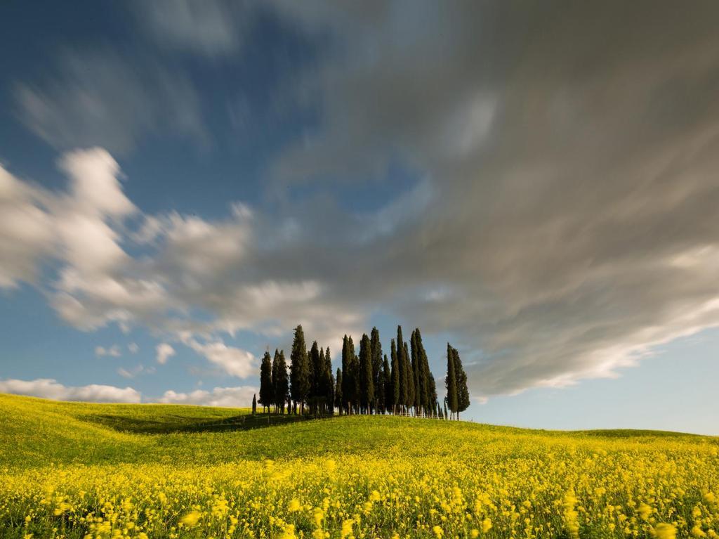 Agriturismo Poggio Tobruk Pienza Dış mekan fotoğraf