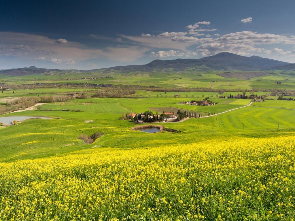 Agriturismo Poggio Tobruk Pienza Dış mekan fotoğraf