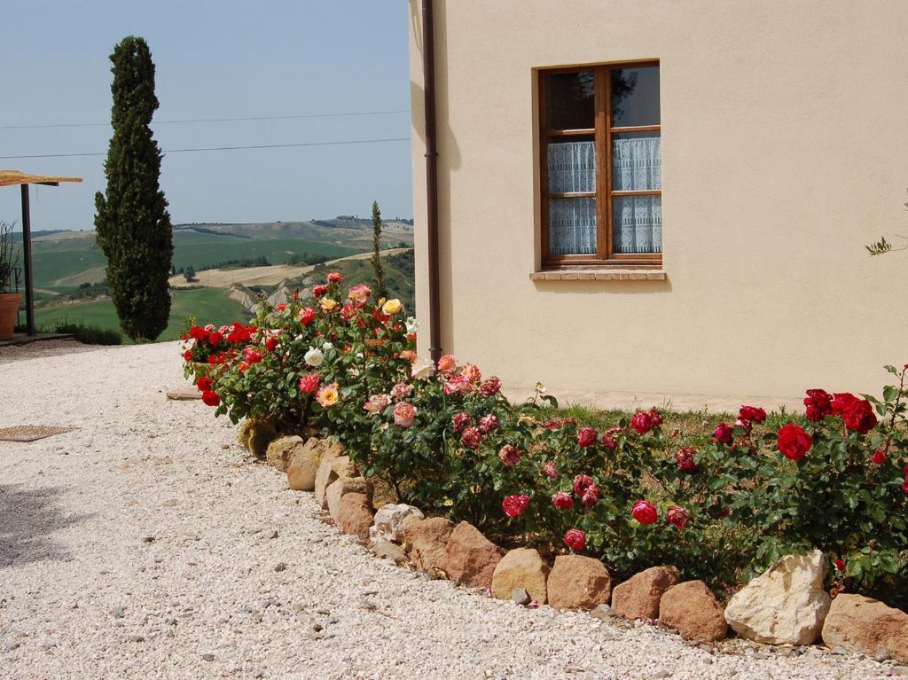 Agriturismo Poggio Tobruk Pienza Dış mekan fotoğraf